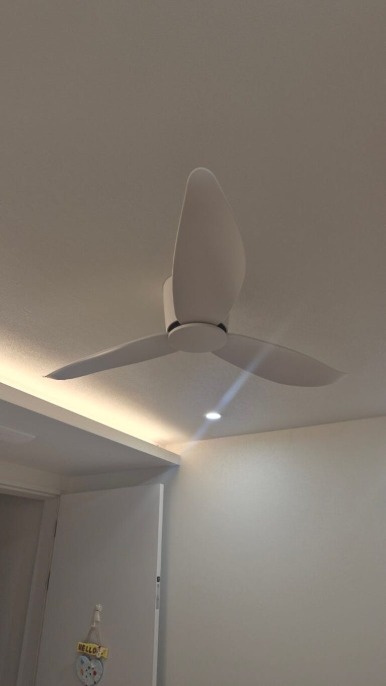 실링팬  효과, 정말 효과가 있을까? 후기와 장단점